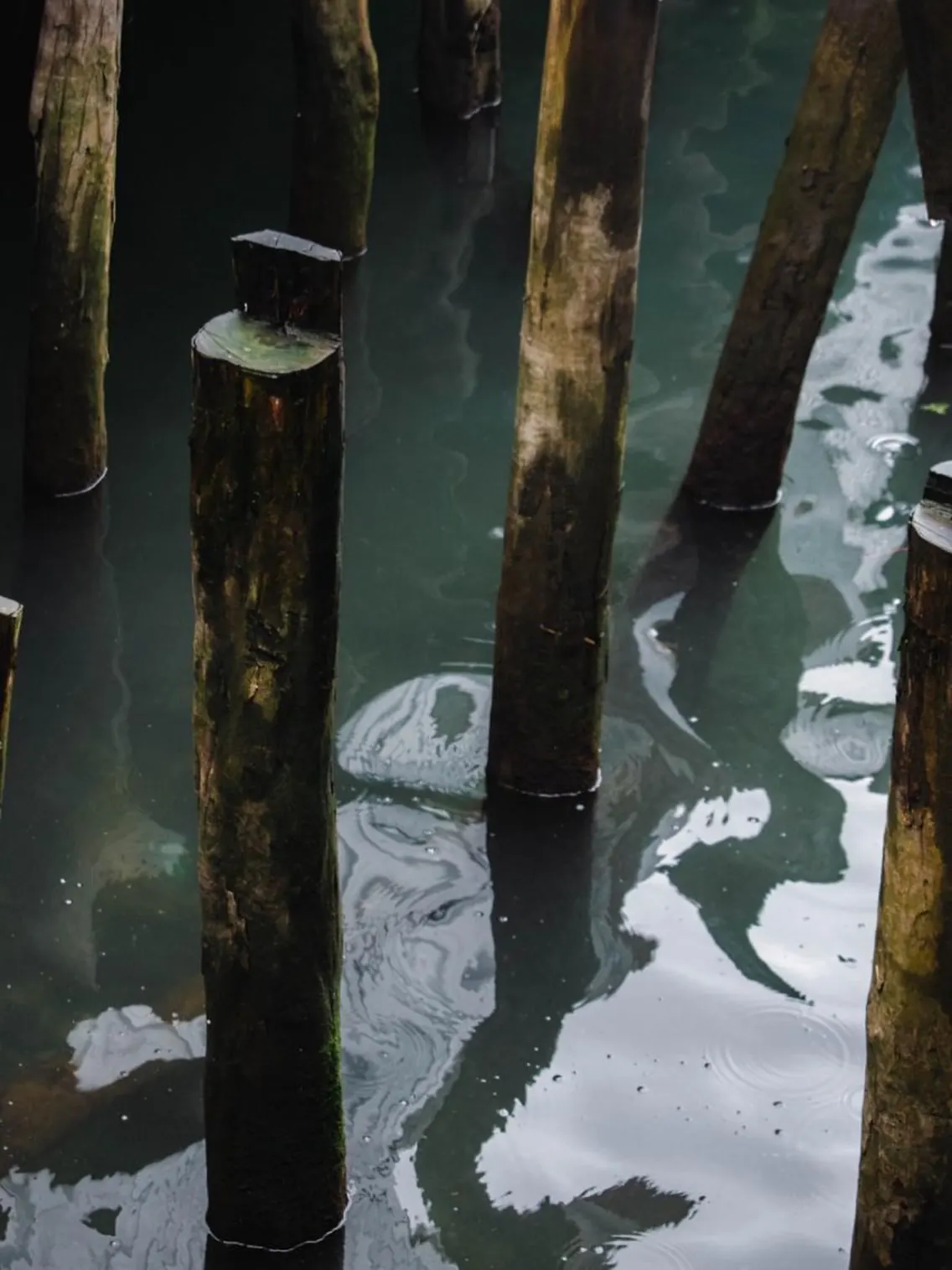 Reflejos de pilotes de madera en el agua quieta