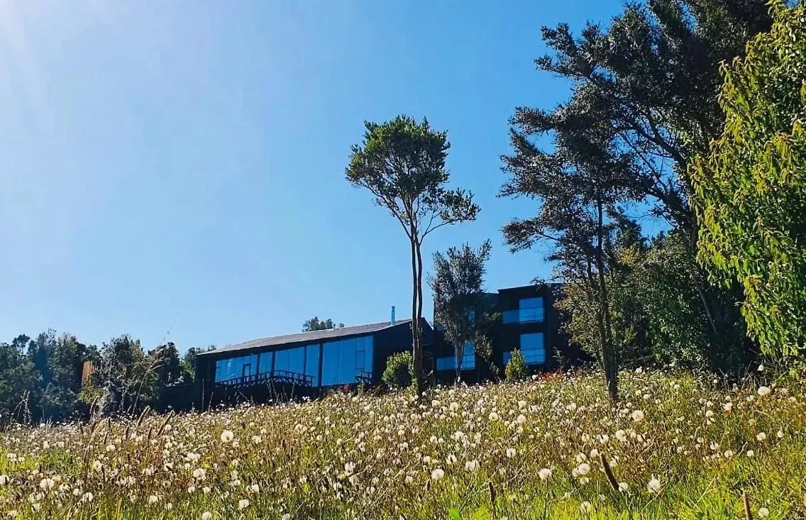 Pradera con flores silvestres y el hotel al fondo